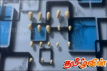 22 கஜமுத்துகளுடன் முன்னாள் பொலிஸ் உத்தியோகத்தர் உட்பட இரு வியாபாரிகள் கைது