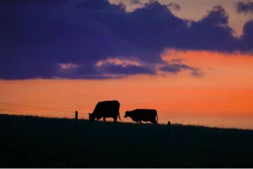 வறட்சியான காலநிலையினால் பாதிக்கப்பட்ட கனடியர்கள்