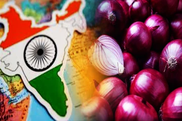 பெரிய வெங்காய இறக்குமதி தடை : இலங்கை விஜயம் செய்த இந்தியப் பிரதிநிதி