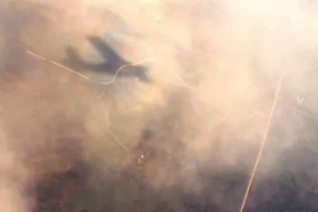 ரேடாரிலிருந்து மாயமான விமானம் கண்டுபிடிப்பு! எங்கே.. எப்படி இருந்தது? வெளியான அதிகாரப்பூர்வ தகவல்