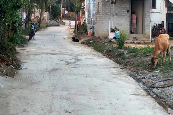 ஹீரோவான தமிழன்! கல்யாணத்திற்கு சேர்த்த பணத்தில் கிராமத்திற்கு சாலை அமைத்து புதிய புரட்சி | Tamil Nadu Techie Spends Marriage Savings