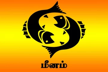 வெற்றி யோகம் தரும் 2024 - உழைப்புக்கு ஏற்ற வெற்றி அடையப்போகும் மீன ராசியினர்