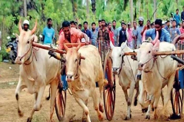 இலங்கையில் மூன்று மாவட்டங்களுக்கிடையே இடம்பெற்ற மாட்டுவண்டி சவாரிப் போட்டி