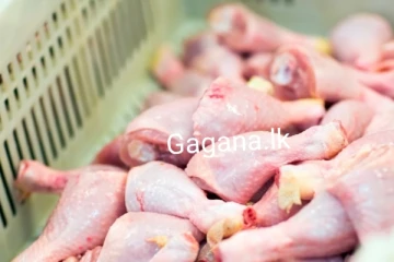 කුකුල් මස් මිලට එකවරම සිදුවූ දේ.. නව මිල ගණන් මෙන්න..