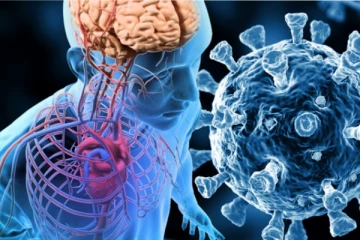 කොරෝනාවෙන් හදවතට හා මොළයට වෙන දේ මෙන්න.. ඇඟ හිරිවැටෙන හෙළිදරව්වක්.