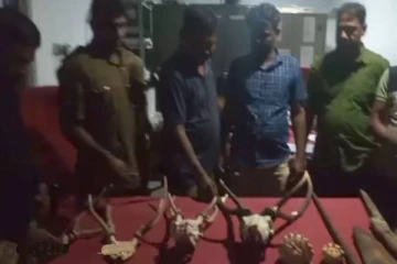 அதிகாரிகளுக்கு கிடைத்த இரகசிய தகவல்... வசமாக சிக்கிய 5 பேர்!