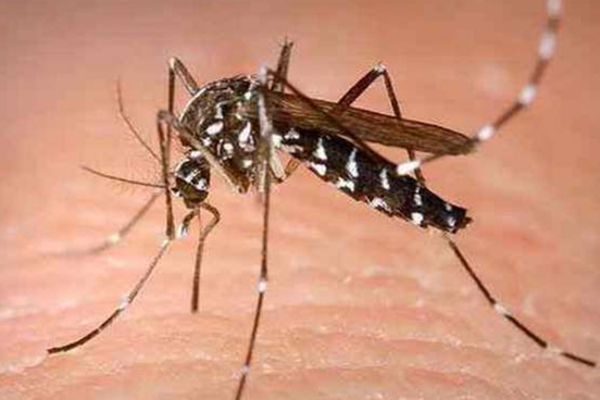 சிறுவர்கள் தொடர்பில் சுகாதாரத்துறை விடுத்த எச்சரிக்கை! | A Warning Issued By Health Department Children
