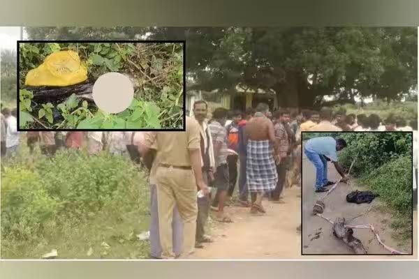 karnataka