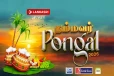 தமிழர் திருநாளாம் தைத் திருநாளை முன்னிட்டு தலைநகரில் நம்மவர் பொங்கல் - 2026