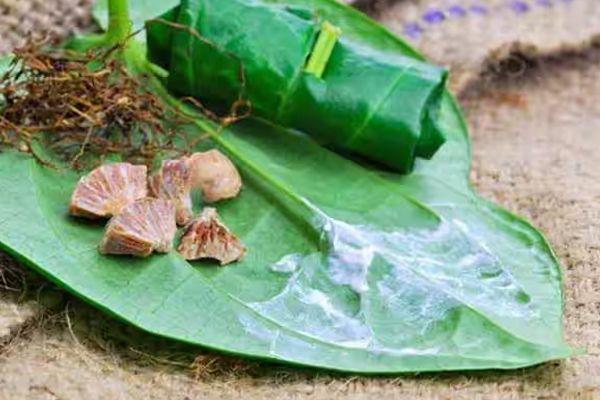 பலாப்பழத்துடன் இந்த பொருட்களை உட்கொள்ளவே கூடாதாம் | These Products Should Consumed With Jackfruit