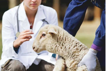 விலங்குகள் மீதான் பரிசோதனை; எலான் மாஸ்க் நிறுவனத்துக்கு சிக்கல்