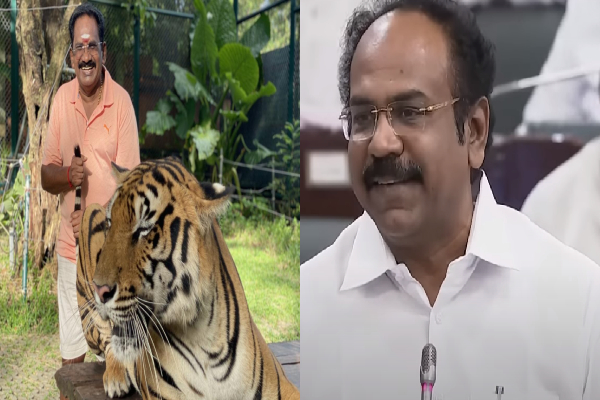 புலி வாலை பிடித்த செல்லூர் ராஜூ : பேரவையில் கலாய்த்த தங்கம் தென்னரசு | Hangam Thannarasu And Sellur Raju Regarding புலி வாலை பிடித்த செல்லூர் ராஜூ : பேரவையில் கலாய்த்த தங்கம் தென்னரசு | Hangam Thannarasu And Sellur Raju Regarding