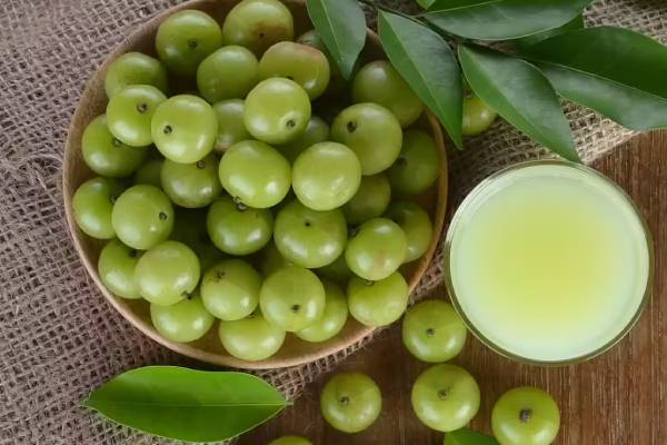 இந்த பொடி இரண்டு கரண்டி போதும்.. இடுப்பு வரை தலைமுடி நீளமாக வளரும் | Use Amla Curry Leaves For Hair Growth In Tamil
