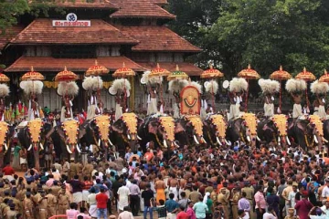 திருச்சூர் பூரம் திருவிழா: வழிகாட்டு நெறிமுறைகளை வெளியிட்டது உயர்நீதிமன்றம்