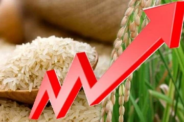 நாளுக்கு நாள் தாறுமாறாக உயரும் விலை! இலங்கை மக்களின் வாழ்க்கைச் செலவில் விழும் அடி