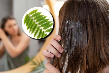 முழங்கால் வரை முடி வளர செய்யும் கறிவேப்பிலை சீரம் - வீட்டிலேயே செய்வது எப்படி?