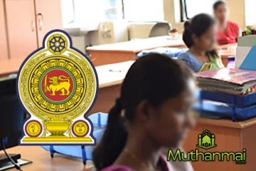 அரச ஊழியர்கள் குறித்து வெளிவந்துள்ள தகவல்