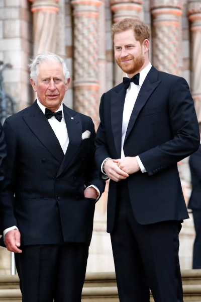 மறைந்த எலிசபெத் மகாராணியாரின் நினைவிடத்தில் இளவரசர் ஹரி | Prince Harry Visit Queen Elizabeth Memorial