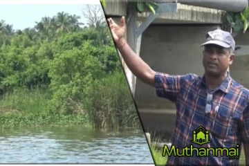 மட்டக்களப்பில் அபாய நிலையில் காணப்படும் வடிச்சல் குழாய்! பொதுமக்களால் விடுக்கப்பட்ட கோரிக்கை