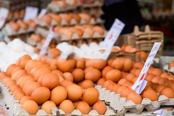 முட்டையின் விலை அதிகரிப்பு! வெளியான தகவல் | Egg Price In Sri Lanka முட்டையின் விலை அதிகரிப்பு! வெளியான தகவல் | Egg Price In Sri Lanka
