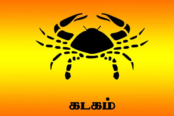 அதிஷ்டத்தால் பிரகாசிக்க போகும் 3 ராசிக்காரர்கள் | 3 Zodiac Signs That Are Going To Shine With Luck