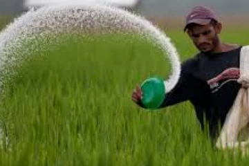 விவசாயிகளுக்கு மகிழ்ச்சித்தகவல்!