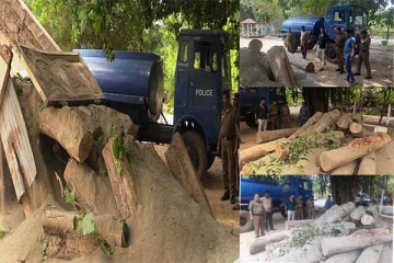 யாழில் தேக்குமரக் குற்றிகளுடன் சந்தேகநபர் கைது (Photos)