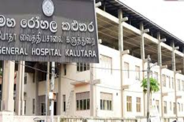 நெதர்லாந்திலிருந்து இலங்கையிலுள்ள தனது சொந்த தாயை தேடும் மகள் | Daughter From Netherlands Looking Mother Sri Lanka