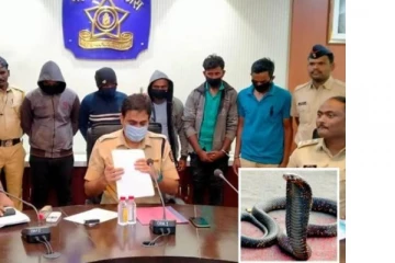 பாம்பை ஏவி தன்னை போலவே தோற்றம் கொண்டவரை கொன்ற சமையல்காரர்! கோடிக்கணக்கான பணத்துக்காக நடந்த நாடகம் அம்பலம்