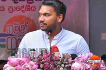 කන්ටේනර් ගැටලුව ගැන අර්චුනාගේ මතය බොරුවක් වෙන්න බැහැ - නාමල් ඇත්ත හෙළි කරයි