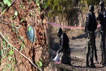 திருகோணமலையில் தோட்டம் ஒன்றிலிருந்து கைக்குண்டு கண்டுபிடிப்பு