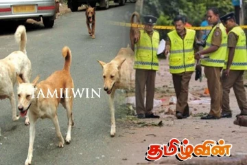 நாய்கள் சாப்பிட்ட நிலையில் மீட்கப்பட்ட குழந்தையின் கால் - குழப்பத்தில் பொலிஸார்