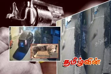 கொட்டாஞ்சேனை துப்பாக்கிச் சூடு! மேலும் இருவர் கொழும்பில் கைது..