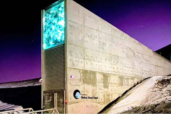 உலகில் திகிலூட்டும் மர்ம இடங்கள்: தங்க ஈட்டி பாம்பு கேள்விப்பட்டதுண்டா? | Most Mysterious Places World