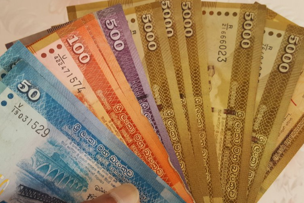 102 வீதத்தை எட்டியுள்ள உள்நாட்டு வருமான இலக்கு | Domestic Revenue Target Reached At 102 Rate
