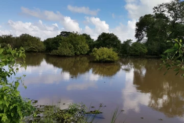 வவுனியாவில் குளம் உடைப்பெடுப்பு (Video)