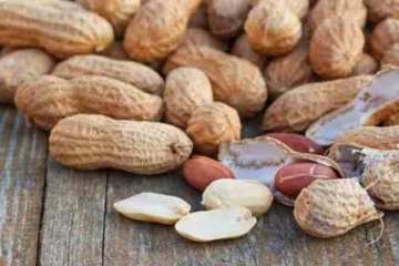 ஏழைகளின் பாதாம் வேர்க்கடலை! புரதச்சத்து தாறுமாறாக இருக்கும் தெரியுமா?