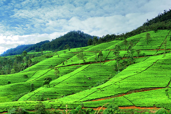 முன்னாள் இளைஞர் மன்ற உறுப்பினரும், இளைஞர் கழக தலைவருமான ஆர்.ஆனந்தபாபு முன்வைத்துள்ள குற்றச்சாட்டு | Injustice Faced By The Youth Of The Upcountry