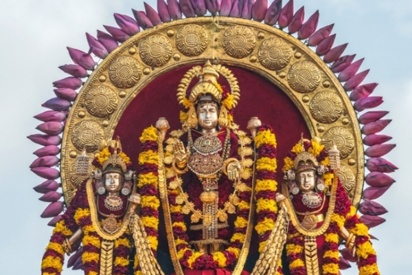 ஏழு குதிரைகள் பூட்டிய ரதத்தில் சூர்யோற்சவம் ; பக்தர்களுக்கு காட்சி தந்த நல்லூர் கந்தன் | Nallur Kandaswamy Temple Soorasamharam
