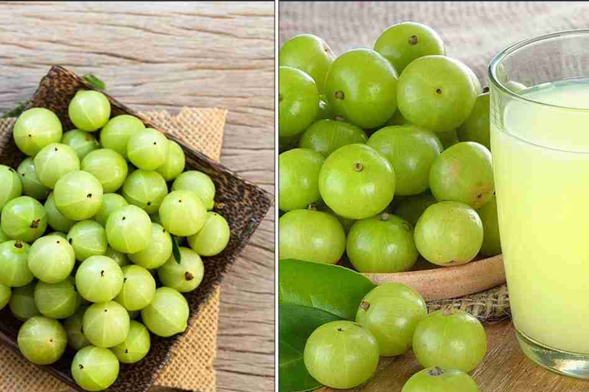 78 வயதிலும் அமைச்சர் செங்கோட்டையன் இவ்வளவு ஃபிட்டாக இருப்பதன் காரணம் என்ன? | Diet Secret Of Tvk Minister Sengottaiyan 78 வயதிலும் அமைச்சர் செங்கோட்டையன் இவ்வளவு ஃபிட்டாக இருப்பதன் காரணம் என்ன? | Diet Secret Of Tvk Minister Sengottaiyan