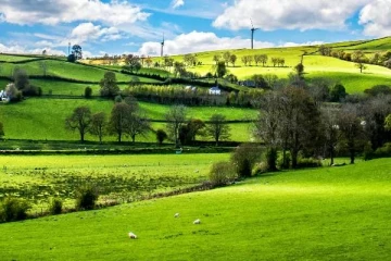 உலகிலேயே மிகவும் அமைதியான நாடு எது தெரியுமா?