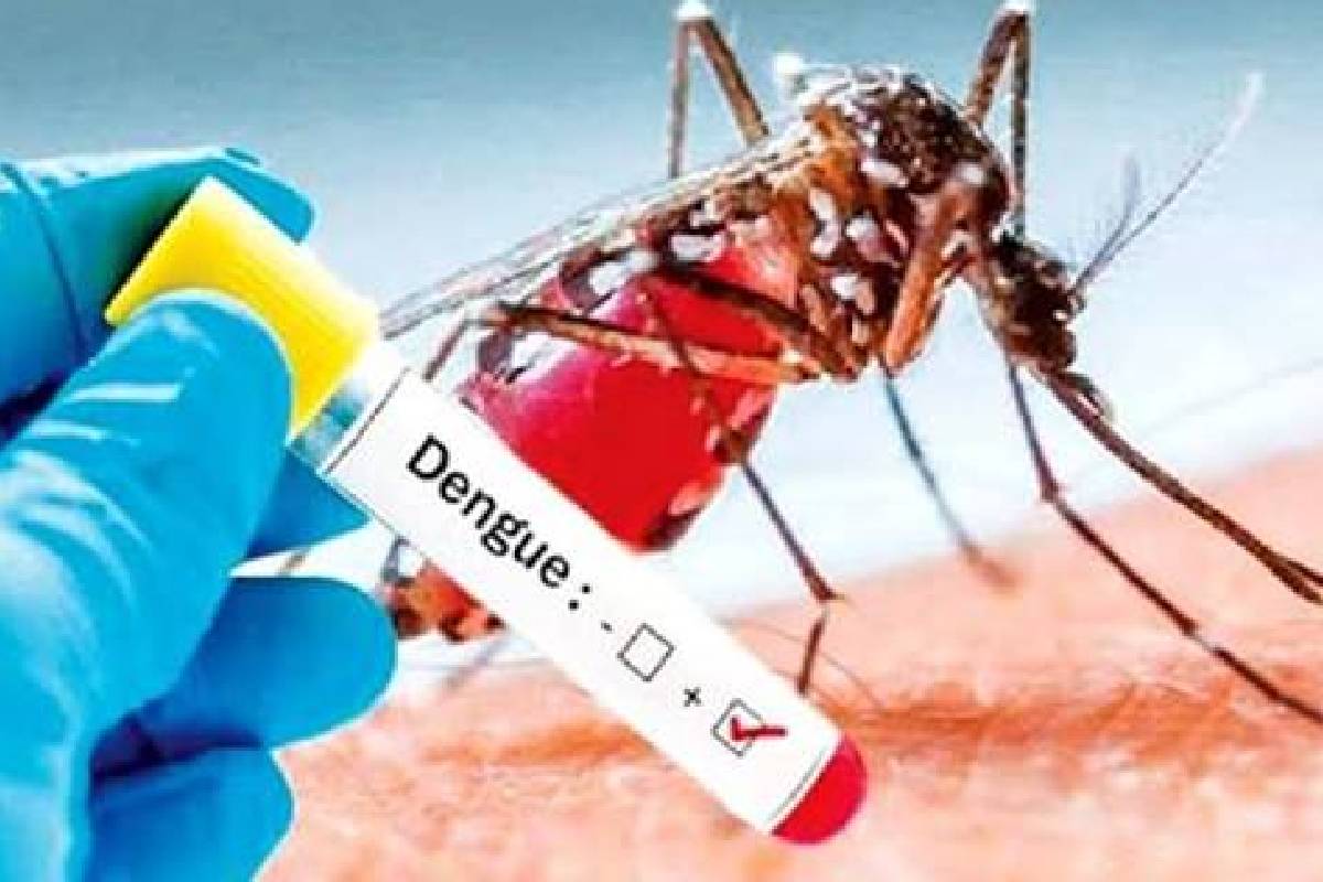யாழில் இதுவரையில் 694 டெங்கு நோயாளர்கள் பதிவு | 694 Dengue Patients Registered In Jaffna So Far