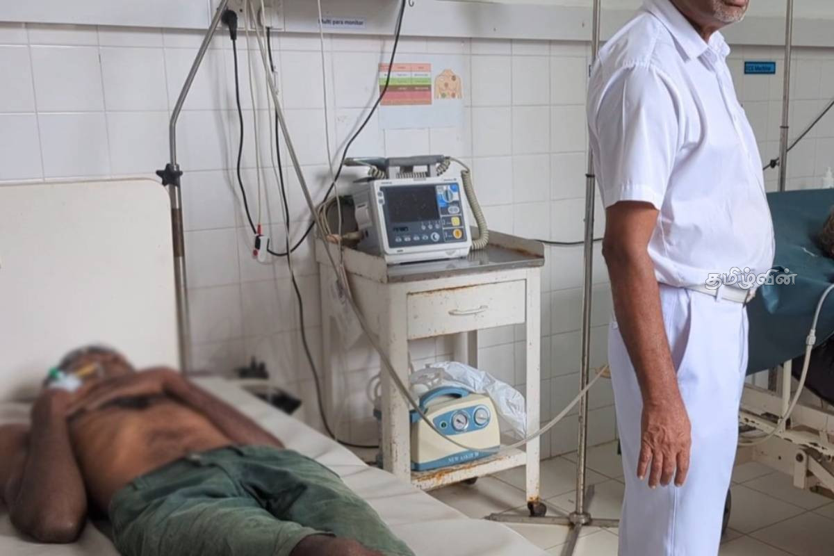 பின் ஓயா தோட்டத்தில் தேயிலை பறித்துக் கொண்டிருந்த தொழிலாளர்களுக்கு நேர்ந்த கதி! | Workers Admitted To Hospital Stung By Wasps பின் ஓயா தோட்டத்தில் தேயிலை பறித்துக் கொண்டிருந்த தொழிலாளர்களுக்கு நேர்ந்த கதி! | Workers Admitted To Hospital Stung By Wasps