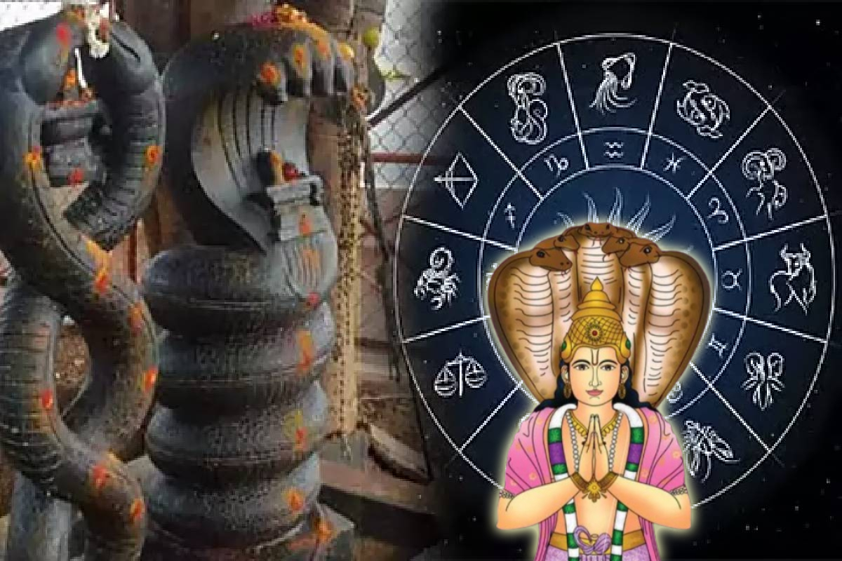 கேது புத்திகாலம்: 5 ராசிகளுக்கு கிடைக்கப்போகும் தங்கப்புதையல் - உங்க ராசியும் இருக்கா? | Ketu Transit Will Bring Jackpot To 5 Zodiac Signs கேது புத்திகாலம்: 5 ராசிகளுக்கு கிடைக்கப்போகும் தங்கப்புதையல் - உங்க ராசியும் இருக்கா? | Ketu Transit Will Bring Jackpot To 5 Zodiac Signs
