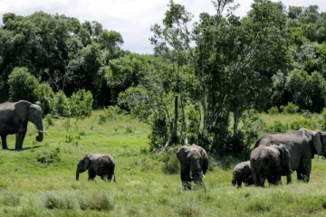 வெளிநாடு சுற்றுலா சென்ற பிரித்தானிய பெண்ணுக்கு நேர்ந்த துயரம்