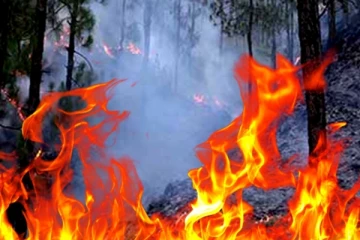 වගා භූමියක ගින්නක් - අක්කර 30ක පැතිරි යයි.