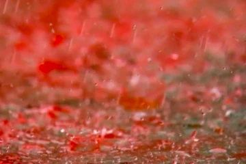 பிரித்தானியாவில் இரத்த மழை... வானிலை ஆராய்ச்சி மையம் முன்னறிவிப்பு