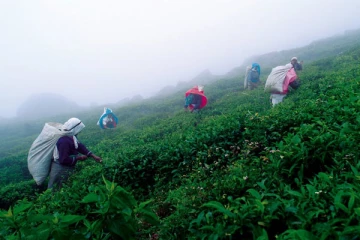 தோட்டத் தொழிலாளர் சம்பளம் குறித்த இறுதி முடிவை மீண்டும் எடுக்க கூட்டம்