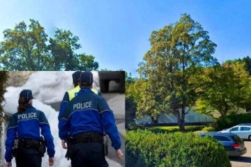 சமாதிகளில் வைக்கப்படும் பூக்கள், அலங்காரங்களை திருடும் கும்பல்! சுவிஸில் சம்பவம்