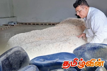 குருந்தத்தால் ஆன மிகப்பெரிய நீல இரத்தினக் கல் விற்பனைக்கு!